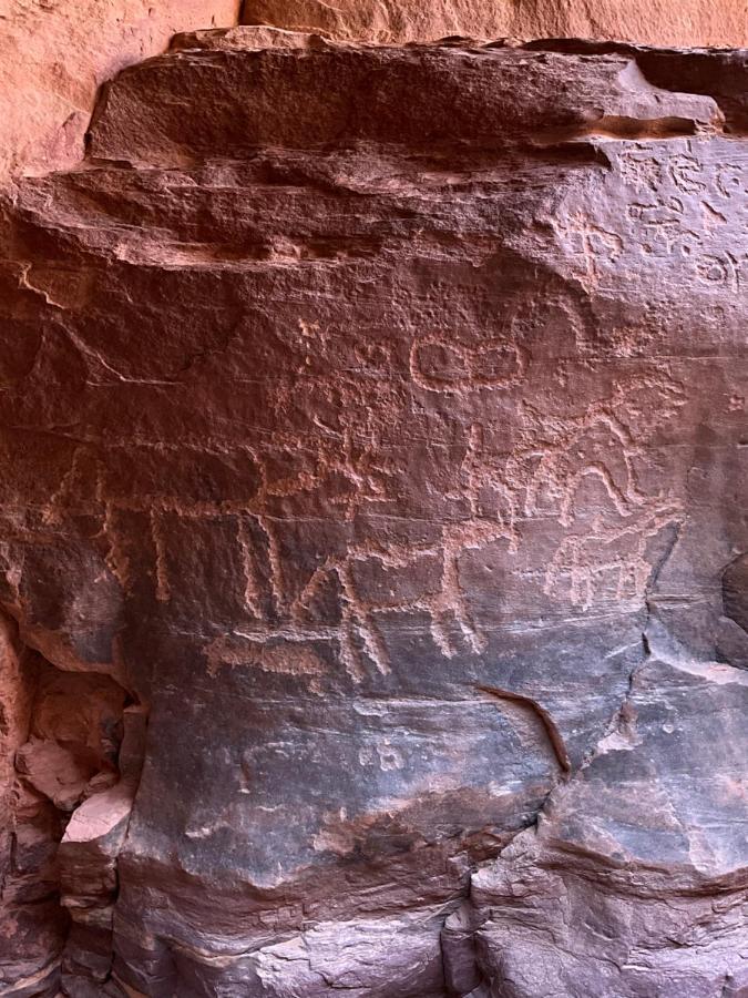 Wadi Rum Bedouin Heart Camp Экстерьер фото